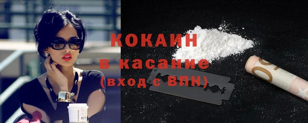 индика Инсар
