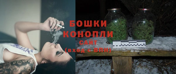 индика Инсар