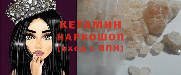 индика Инсар
