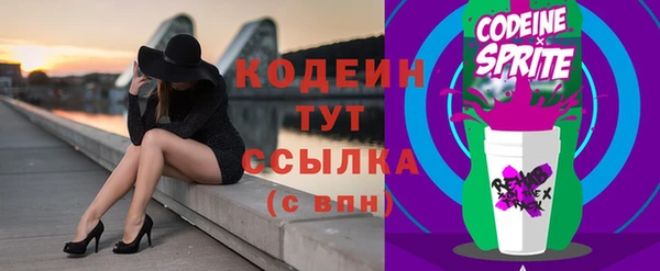 индика Инсар