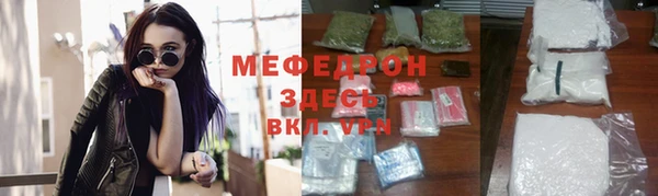 индика Инсар