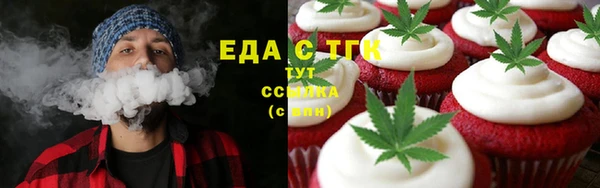 индика Каменногорск