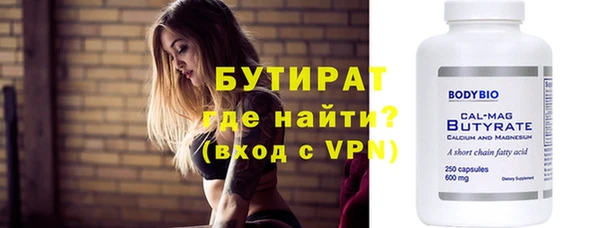 индика Инсар