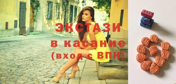 гидра Каменка