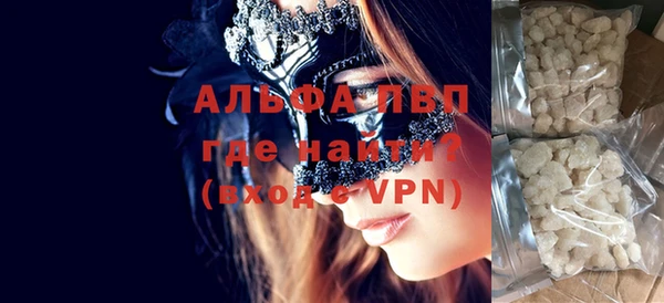 индика Инсар