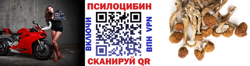 Псилоцибиновые грибы Psilocybe  даркнет сайт  Лесозаводск 